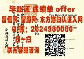 《揭秘都柏林理工学院毕业证含金量：名校证书背后的职场优势与全球认可度》