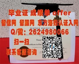 《麻省大学毕业证书：权威认证背后的故事与价值解析》