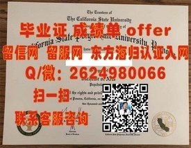 《墨尔本大学证书解析：揭秘全球认可度与求职优势》