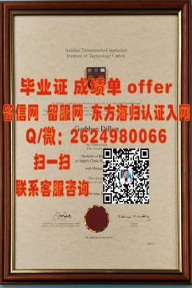 《揭秘都柏林理工学院毕业证含金量：如何证明你的全球竞争力？》