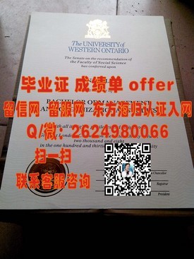 《亨里管理学院毕业证书大揭秘：揭秘真实学位含金量与就业前景》