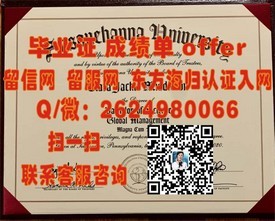 《杨百翰大学文凭大揭秘：如何获取全球认可的学历证书？》