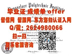 《新布伦瑞克大学文凭揭秘：如何获取含金量高的国际认证学历》