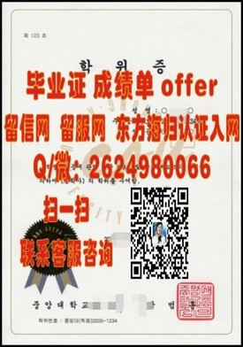 《千叶大学毕业证书样本揭秘：名校证书的细节与含金量》