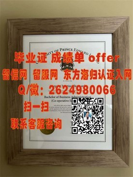 《苏塞克斯大学学历认证全攻略：获取权威毕业证书的必知信息》