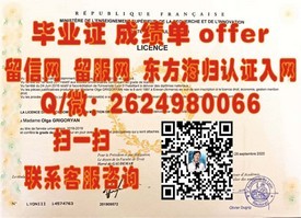 《揭秘都柏林理工学院毕业证书价值：全球认可的学位证书解析》