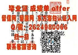 《蒙彼利埃大学文凭解析：揭秘国际认可度与就业前景》