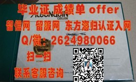 《千叶工业大学毕业证背后的价值揭秘：毕业生的职场通行证》