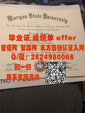 《MIT毕业证背后的价值：揭秘全球精英摇篮的学历含金量》