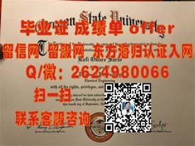 《丹麦哥本哈根信息技术大学学历认证：权威解析毕业证含金量及获取途径》