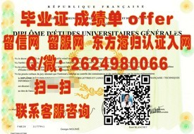 《奥地利维也纳模都尔大学认证毕业证：权威学历背后的故事揭秘》