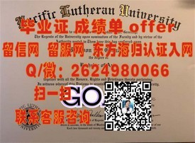 《早稻田大学毕业证背后的价值揭秘：如何证明你的国际教育背景》