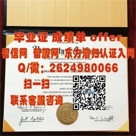 《都柏林理工学院毕业证背后的含金量揭秘：留学归来的职场敲门砖》