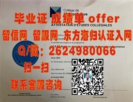 《香港理工大学毕业证书揭秘：真实样本解析与求职优势》