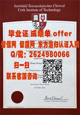 《天普大学官方认证毕业证详解：如何辨别真伪，获取权威留学凭证》