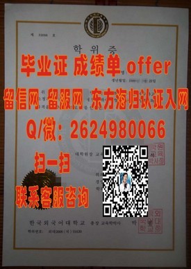 《意大利佛罗伦萨大学证书魅力揭秘：艺术之都的学术荣耀》