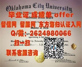 《马来西亚南方学院毕业证解析：权威认证，助力国际就业前景》