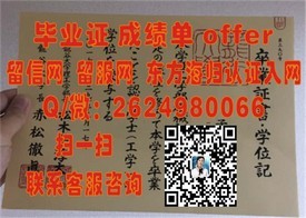 《揭秘苏塞克斯大学学位证书样本：带你领略英伦学府的荣耀凭证》