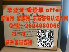 《东邦大学毕业证揭秘：含金量与全球认可度一览》