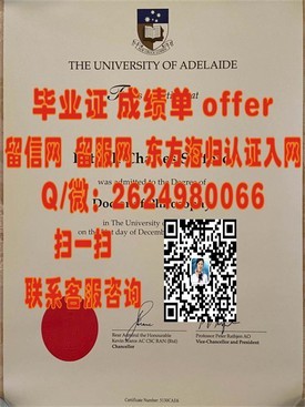 《都柏林理工学院毕业证含金量揭秘：权威认证，就业敲门砖！》