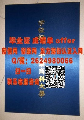 《荷兰萨克逊大学：国际认可毕业证书，开启全球就业新篇章》