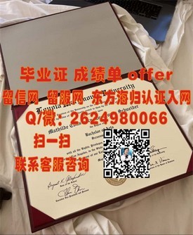 《里昂第一大学证书揭秘：如何获取法国顶尖学府的学位认证》
