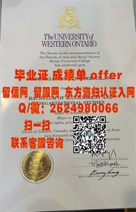《日本中央学院大学毕业证样本揭秘：学位证书详解与获取途径》