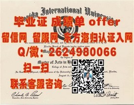 《伊尔梅瑙工业大学毕业证揭秘：权威认证，成就国际精英之路》