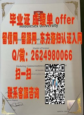 《桑德兰大学学位证书详解：如何辨别真伪及申请流程攻略》