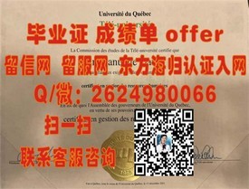 《都柏林理工学院毕业证揭秘：权威认证，全球认可的学术通行证》