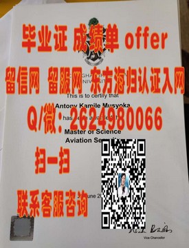 《澳门大学学历认证：权威解析毕业证书的含金量与价值》