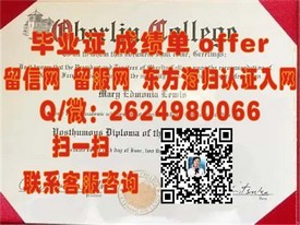 《都柏林大学圣三一学院毕业证书解析：权威认证背后的故事与价值》