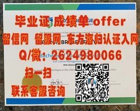 《揭秘阿尔玛学院毕业证含金量：全球认可背后的故事与优势》