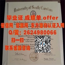 《荷兰萨克逊大学文凭解析：深入了解荷兰顶尖学府的毕业证书》