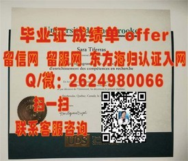 《梨花女子大学证书详解：权威指南助你了解韩流名校学历认证》