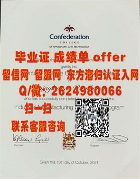 《揭秘伊尔梅瑙工业大学毕业证含金量：权威认证背后的故事与优势》
