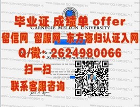《香港理工大学毕业证书样本解析：真实凭证，留学必备攻略》