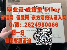 《丹麦哥本哈根信息技术大学：国际认证学历，开启全球就业新篇章》