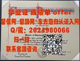 《荷兰萨克逊大学文凭解读：揭秘真实含金量与求职优势》
