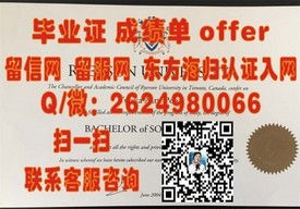 《纽约州立大学帝国州立学院毕业证详解：学位认证与就业前景分析》