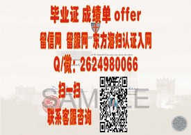 《新布伦瑞克大学毕业证书详解：留学归国者的就业敲门砖》