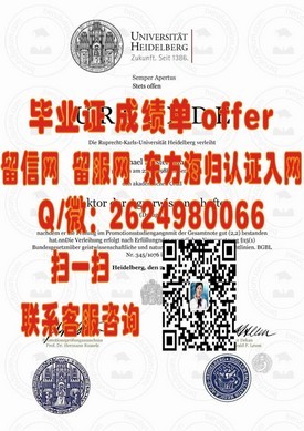 《荷兰萨克逊大学学历认证详解：权威毕业证书揭秘与申请指南》