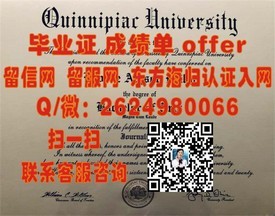 《阳光海岸大学文凭：揭秘全球热门院校的卓越成就与就业前景》