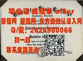 《解锁艺术梦想：东京艺术大学毕业证书背后的价值与魅力》