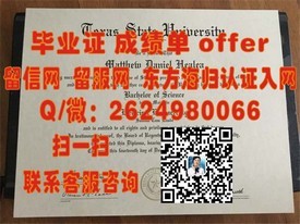 《揭秘全球认可度：成蹊大学学历背后的含金量与就业前景》
