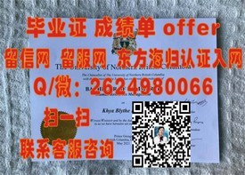 《意大利佛罗伦萨大学文凭魅力揭秘：艺术与学术的完美融合》