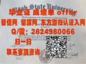 《东京大学毕业证背后的荣耀：解锁世界顶尖学府的入学秘诀》