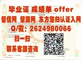 《南非夸祖鲁-纳塔尔大学学历认证全解析：揭秘毕业证含金量与申请攻略》