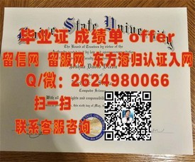 《纽约州立大学毕业证详解：申请流程、含金量及未来职业展望》