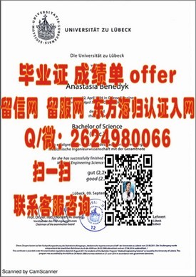 《佛罗里达理工学院毕业证解析：权威信息解读与获取指南》